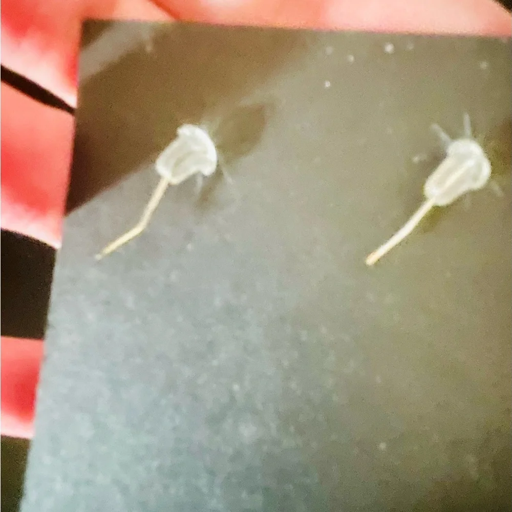 Acoma Pueblo Dragonfly Earrings,NWT - Picture 4 of 9
